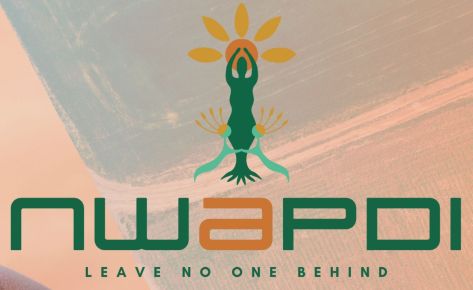NWAPDI